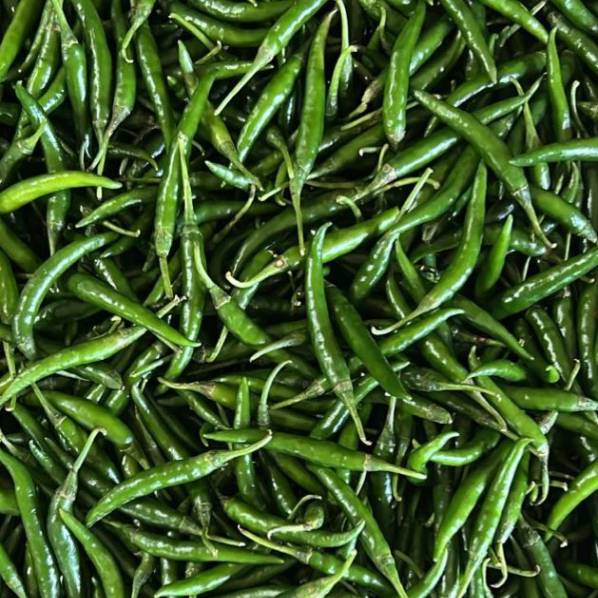 G4 Green Chilli