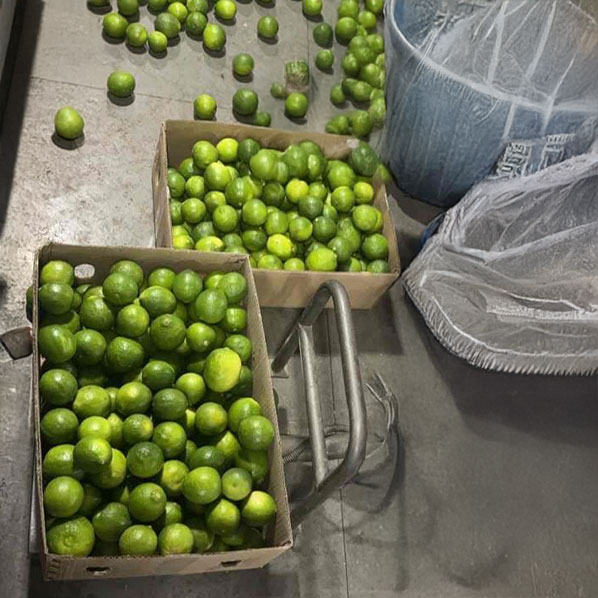 green lemons