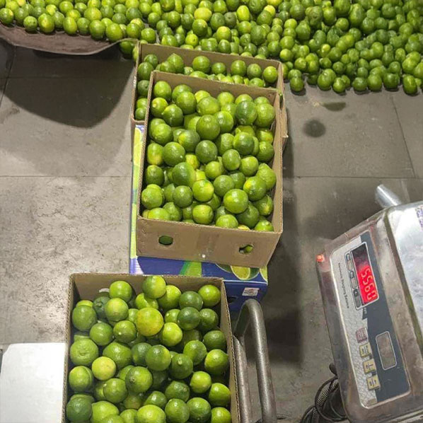 green lemons